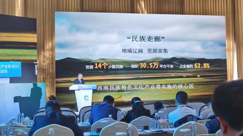 2021西南民族特色文化产业带发展指南 总投资1960亿元,开启文化产业新篇章